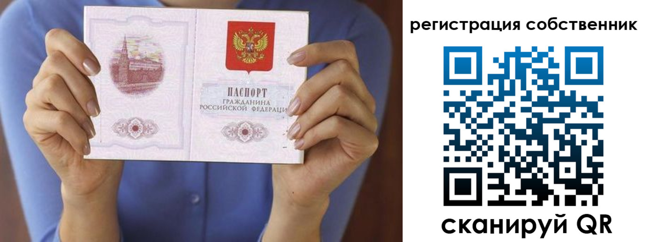 временная регистрация гарантия в Ленинградской области